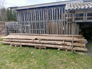 Sarikad kalasabaga (3 foto / 3)