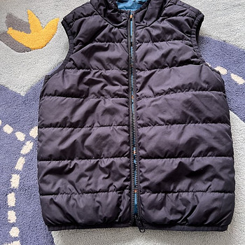 Mayoral vest