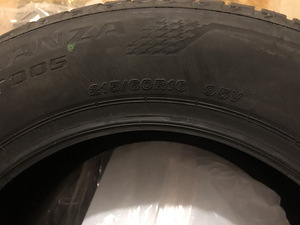 Bridgestone (2 фото из 3)