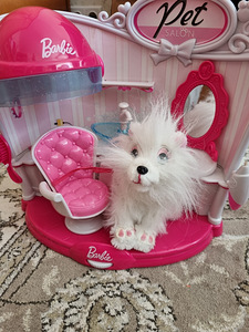 Barbie Pet SALON (5 foto / 8)
