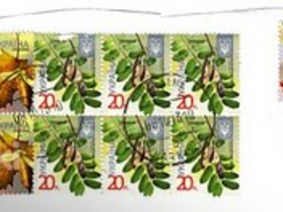 Ukraina margid