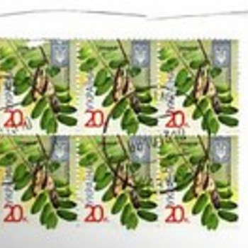 Ukraina margid