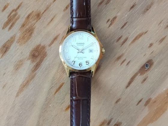 Casio lts-100