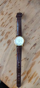 Casio lts-100 (1 фото из 2)