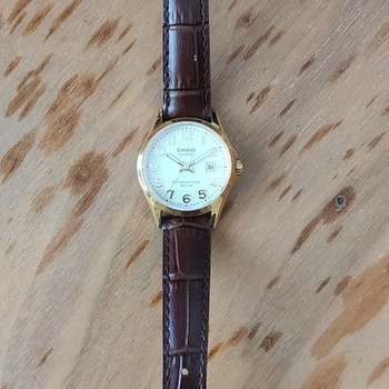 Casio lts-100