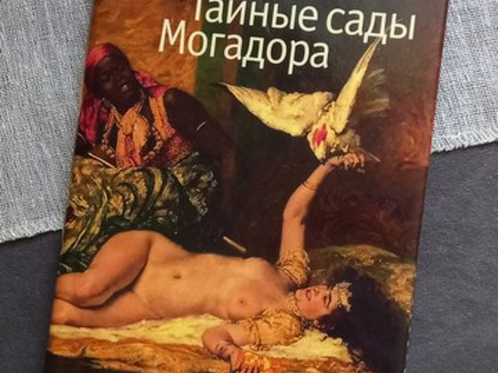 Книга Санчес Тайные сады Могадора