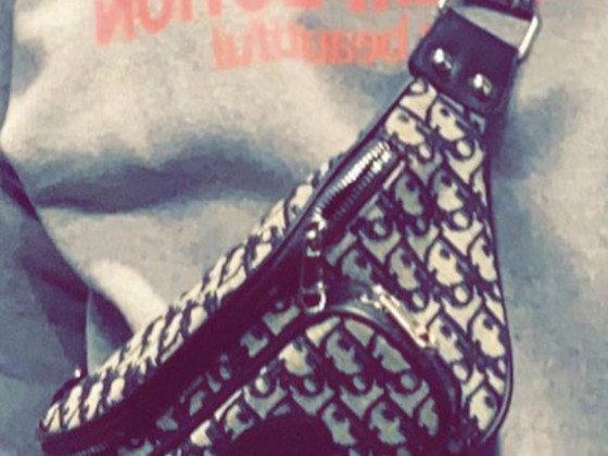 Сумка DIOR