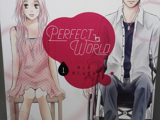 Manga Perfect World