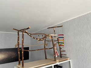 Mänguväljak lindudele (4 foto / 7)