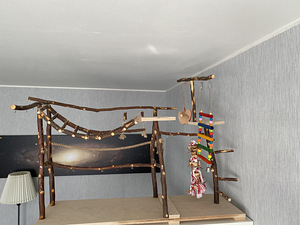 Mänguväljak lindudele (5 foto / 7)