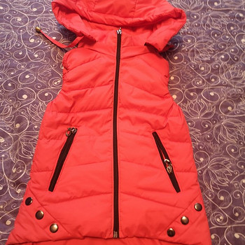 Tüdruku vest