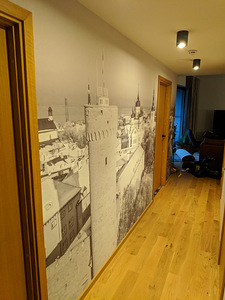 Tapeedi paigaldus (8 foto / 8)