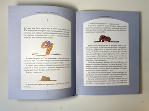 Книга Маленький принц (4 фото из 4)