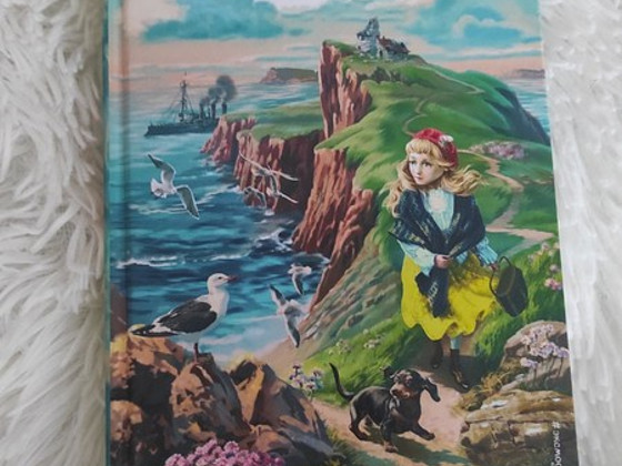 Книга Холли Вебб ,,Борьба Иви"