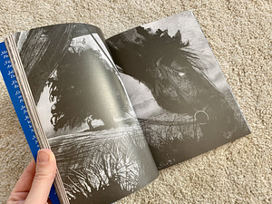 Книга Когда зовет монстр (3 фото из 5)
