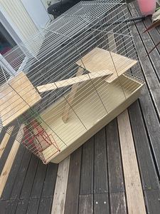 Suur näriliste puur (1 foto / 4)