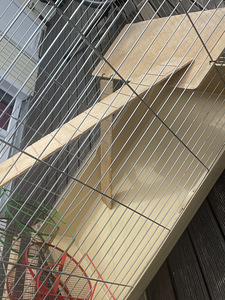 Suur näriliste puur (3 foto / 4)