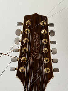 TAKAMINE 12 keelne elektroakustiline kitarr (4 foto / 5)