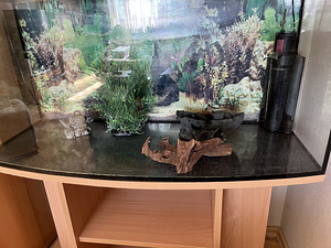 Аквариум Akvaarium 200L (2 фото из 5)