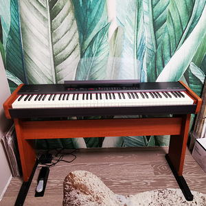 Orla Stage Player (1 фото из 3)
