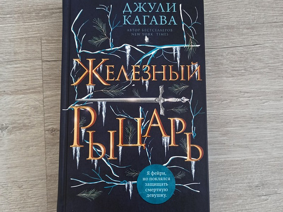 Raudprintsi raamat
