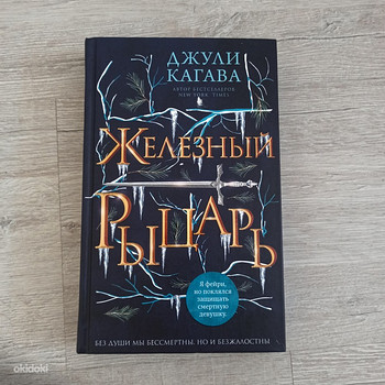 Книга «Железный принц»