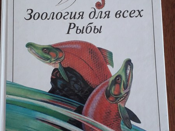 Зоология для всех. Рыбы. Книга на русском языке