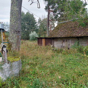 Adraku, Mustvee vald, Jõgevamaa (4 фото из 9)
