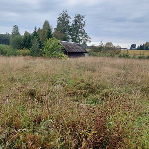Adraku, Mustvee vald, Jõgevamaa (6 фото из 9)