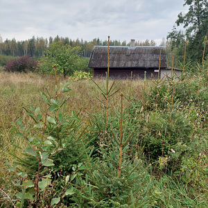 Adraku, Mustvee vald, Jõgevamaa (9 фото из 9)