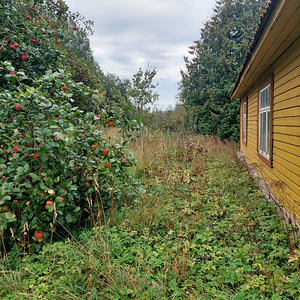 Adraku, Mustvee vald, Jõgevamaa (5 фото из 9)