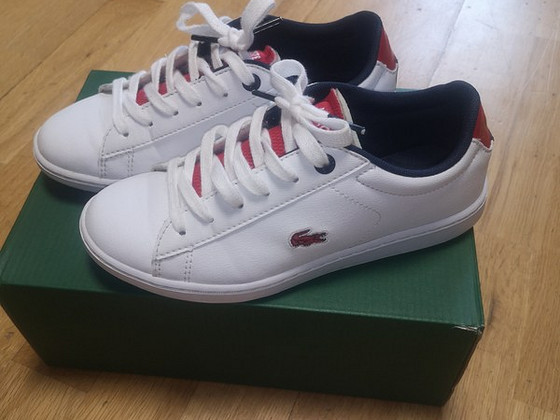 Lacoste tossud s. 33