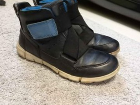 ECCO s.33