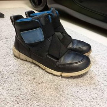 ECCO s.33