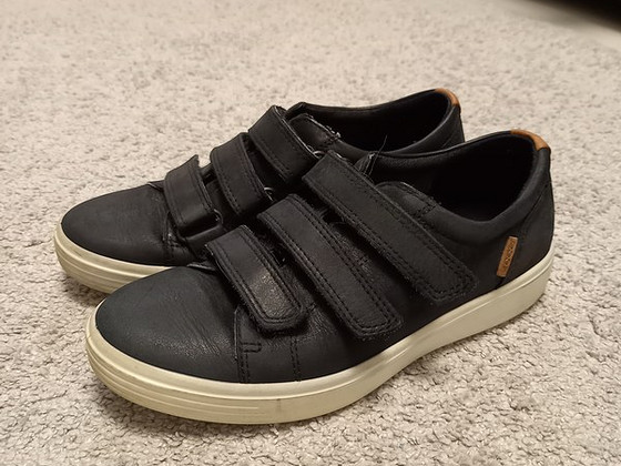 ECCO s.34