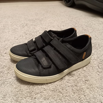 ECCO s.34
