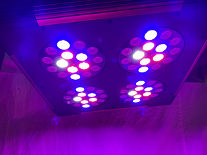 Sonlight Hyperled Apollo PLUS 4 (6 foto / 7)