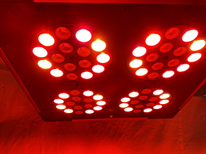 Sonlight Hyperled Apollo PLUS 4 (7 foto / 7)