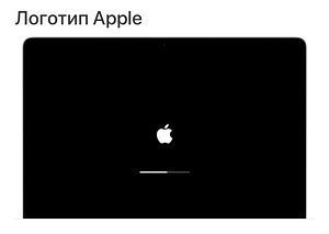 Installimine, taastamine, macOS i Mac, MacBook, iPhone (7 foto / 10)