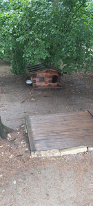 Putka (6 foto / 6)