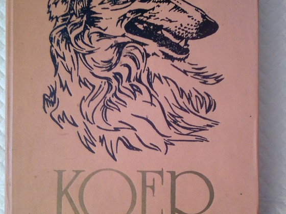 Я продаю книгу