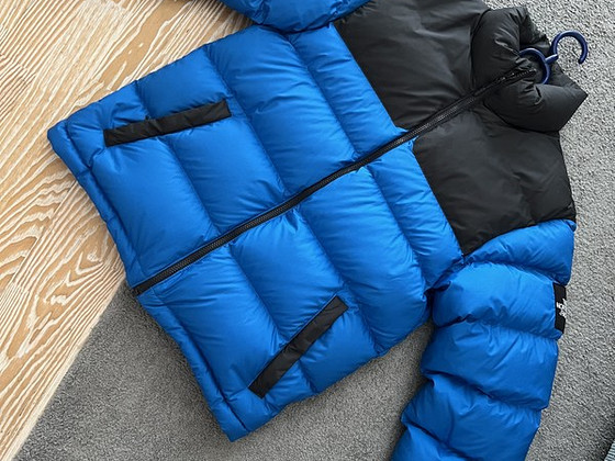 TNF 700 пуховик.