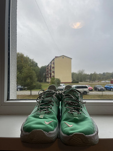 Кроссовки Nike (1 фото из 7)