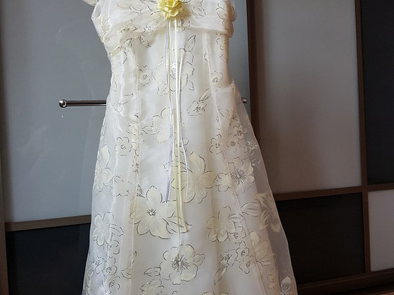 Eleganta kleita