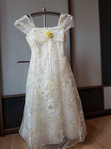 Eleganta kleita (1 foto no 1)