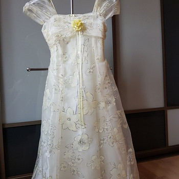 Eleganta kleita
