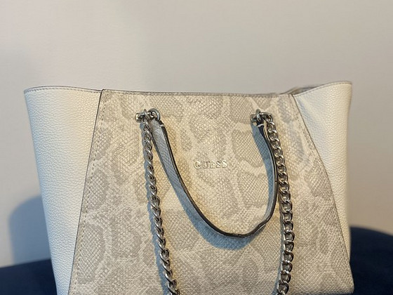 Guess kott