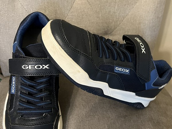 Geox s38