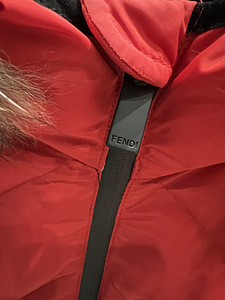 Фенди (3 фото из 3)