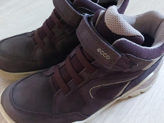 Ecco 35